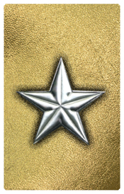 DNSHERT C 430 SL GD Star Silver Gold